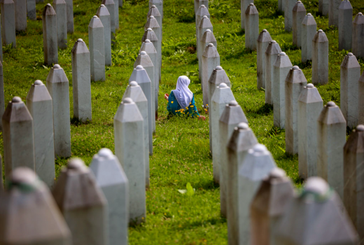 Rezolucija o genocidu u Srebrenici: Teorije o uroti zapadnih sila