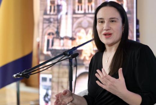 Lekcije iz slučaja Karić: Pritisak na medije umjesto komunikacije