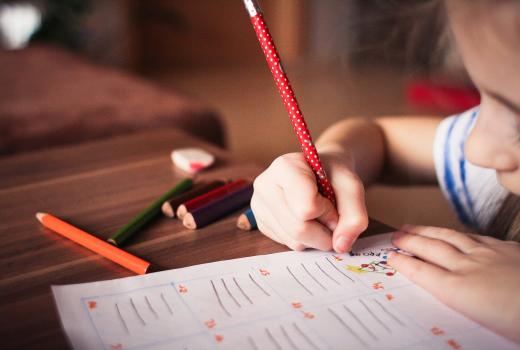 Rezultati PISA testiranja u BiH: Naučili smo djecu da je bitno ko govori, a ne šta govori