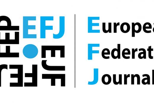 EFJ: Bolje istražiti nacionalnu i vjersku mržnju na internetu u BiH