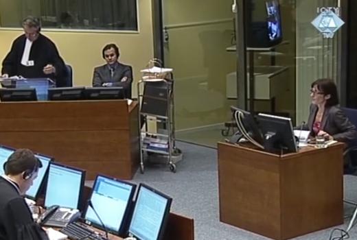 Novinari u Hagu svjedočili istinu o Vukovaru i Ovčari