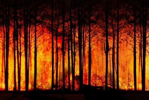 Novinarstvo je dužno izvještavati o klimatskim promjenama