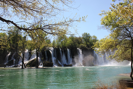 Kravice zvuči preslatko, zar ne?