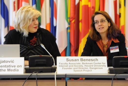 OSCE: Napori ka jačanju tolerancije i slobode govora moraju ići parelelno