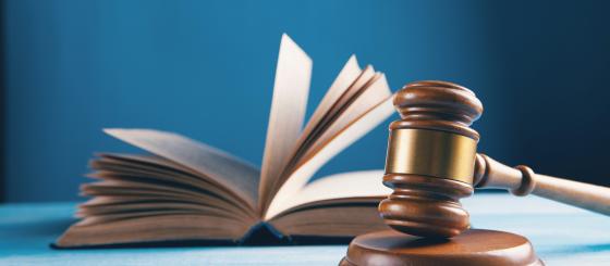 Kako do anti-SLAPP zakona u Bosni i Hercegovini