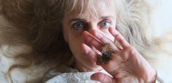 U svijetu leptirova i medvjeda